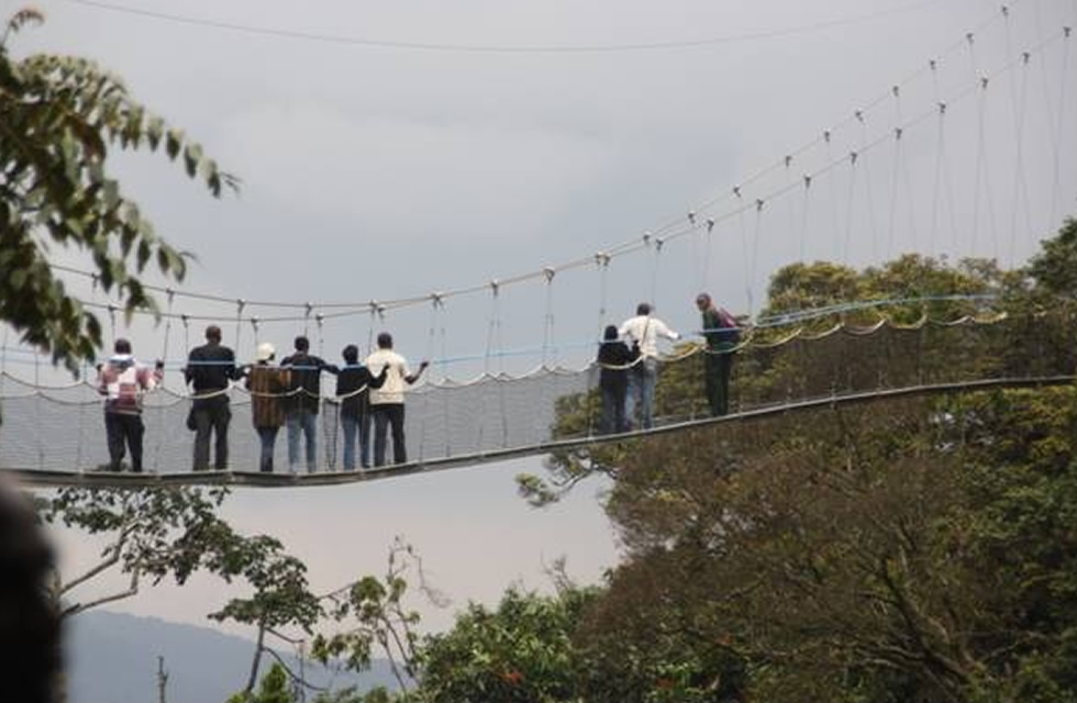 Nyungwe Canopy Walk Launch