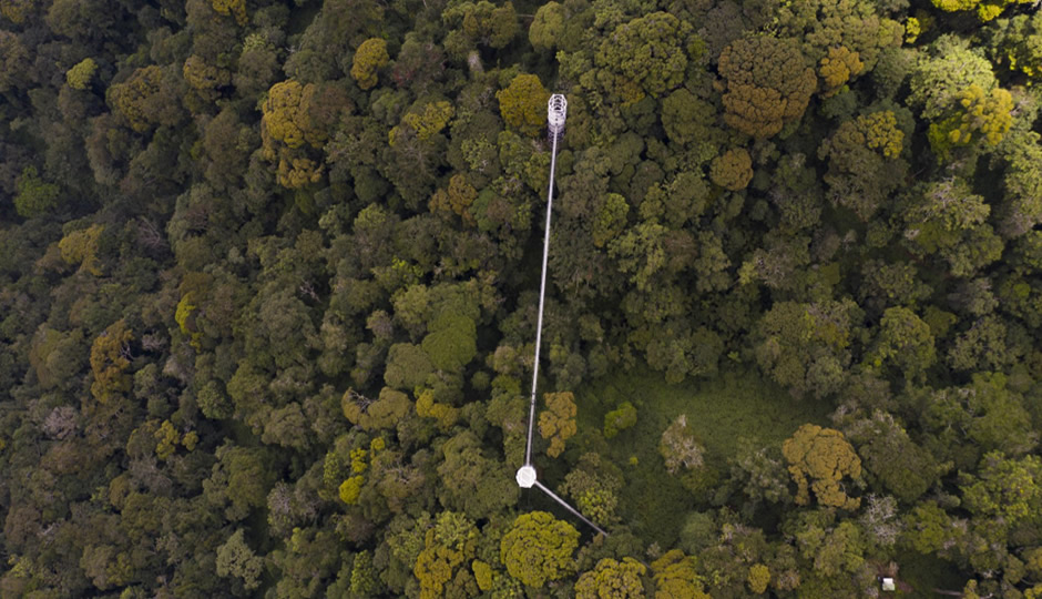 Erected Nyungwe Canopy