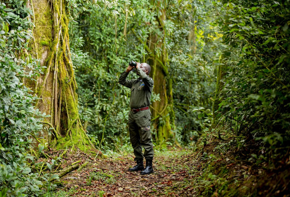 Nyungwe Nature Walk