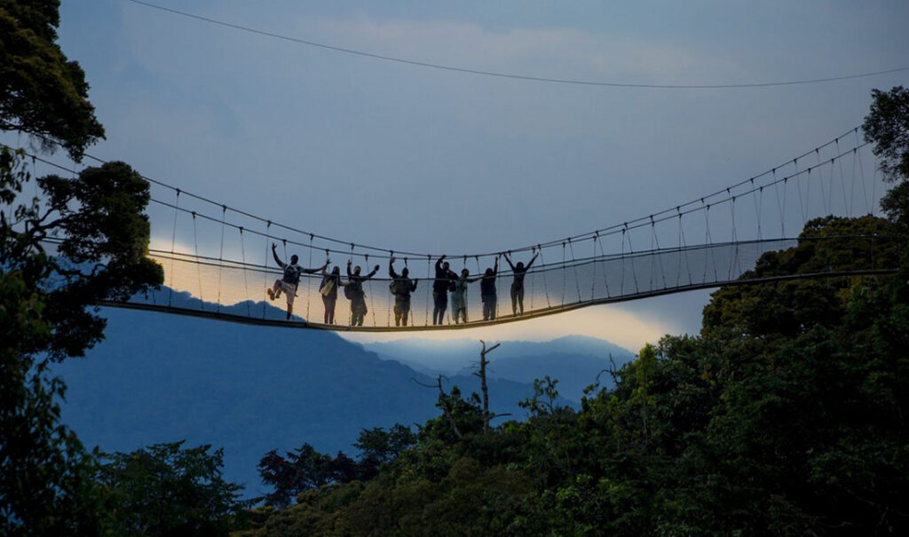 Nyungwe Canopy Walk