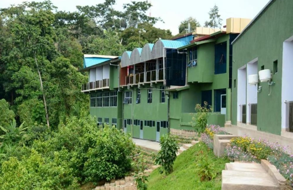 Chimpanzee Lodge